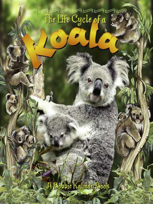 Title details for The Life Cycle of a Koala by Bobbie Kalman - Available